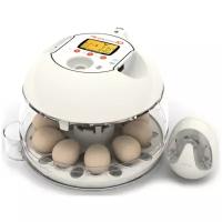 Инкубатор Rcom 10 PRO Plus с овоскопом и помпой, автоматический для яиц