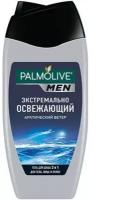 Palmolive Men Гель для душа 3в1 Арктический ветер 250мл