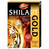 Shilajit Gold Dabur (Шиладжит Голд Дабур) (10 капсул)