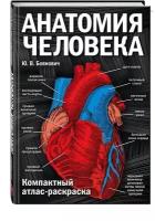 Боянович Юрий Владимирович. Анатомия человека. Компактный атлас-раскраска. Медицинский атлас (обложка)