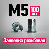 Заклепка вытяжная, Заклепка резьбовая. FIXIT. 5 x 12 мм. M5, 100 шт. Цилиндрическая, Стандартный борт