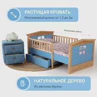 Детская раздвижная кровать домик с бортиком FOREST BLUE от года