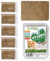 Набор для выращивания "Травка для любимых питомцев" 200 гр (смесь пшеницы, овес, рожь) для кошек собак грызунов и птиц