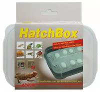 Контейнер для инкубации яиц LUCKY REPTILE "HatchBox", 17х11см (Германия)