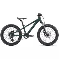 Детский велосипед GIANT STP 20 FS 2021, цвет Trekking Green, рама One size