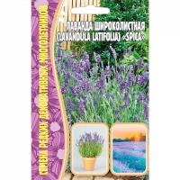 Семена Лаванды широколистной (Lavandula latifolia) " Spica" (30 семян)