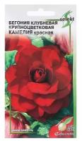 Семена цветов Бегония крупноцвет "Камелия", красная, 10 шт