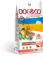 Wellness Dog&Co Adult Medium/Maxi корм для собак средних и крупных пород Баранина и рис, 3 кг