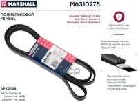 Ремень Ручейковый MARSHALL арт. M6310275