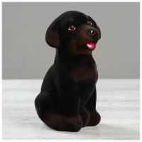Копилка "Ротвейлер", чёрно-коричневый цвет, флок, керамика, 18 см