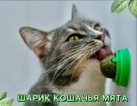 Кошачья мята, вращающийся шарик леденец конфета с кошачьей мятой, мятная игрушка для кошек и котов, лакомство для животных, зеленый, 30гр., 1шт