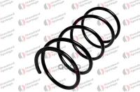 Пружина передняя Standard Springs ST119014F