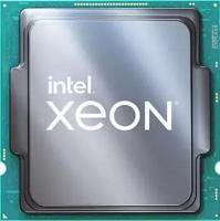 Процессор Intel Xeon E-2378G tray (CM8070804494916)