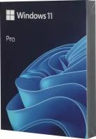 Программное обеспечение / Microsoft Windows 11 Professional BOX with USB Flash / HAV-00162