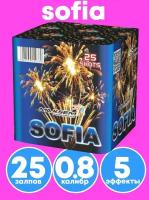 Батарея салютов MAXSEM Wind fireworks MC134, 100 залпов