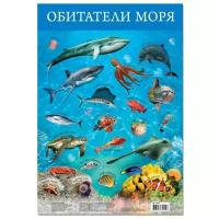 Плакат Обитатели моря 3410