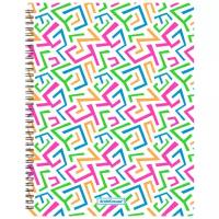 ErichKrause Папка файловая с 20 карманами на спирали Lines A4, разноцветные полоски