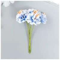 Цветы для декорирования КНР "Пион Лоллипоп" 1 букет-6 цветов бело-голубой 9 см