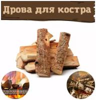 Дрова для костра 30 см. 6,5 кг