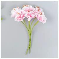 Цветы для декорирования "Пион Лоллипоп" 1 букет=6 цветов бело-розовый 9 см