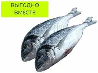 Дорадо 300-400 свежемороженная, 10кг (FISHLIFE)