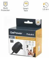 ЗУ для кислотных аккумуляторов GoPower ProLab 6 1000mA 00-00015354, 1шт