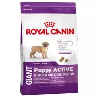 Сухой корм для щенков Royal Canin Giant Puppy Active 15 кг (для крупных пород)