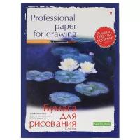 Папка для рисования Альт 59.4 х 42 см (A2), 160 г/м², 8 л