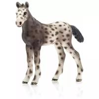 Schleich Лошадь кнабструппер жеребенок 13760