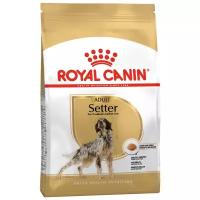 Сухой корм для собак Royal Canin Сеттер (для средних пород)