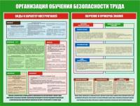 Информационный стенд по охране труда "Организация обучения безопасности труда" (1000х746мм)