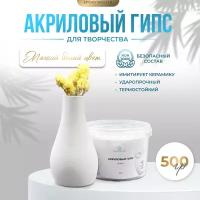 Акриловый гипс для литья EcoPro "Белый" (500г)