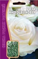 Роза Многоцветковая Белая 7 шт редкие семена