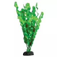 Растение Laguna "Ламинария зеленая", 300мм
