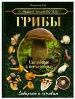 Поленов Андрей Борисович. Большая энциклопедия. Грибы. Съедобные и несъедобные. Собираем и готовим. Большая коллекция