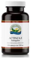 Астрагал НСП / Astragalus NSP