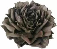 Заколка-брошь для волос/одежды/сумки большой цветок роза темно-коричневая 0021