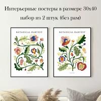 Набор интерьерных постеров "Ботанический урожай" 30х40 см 2 шт без рам