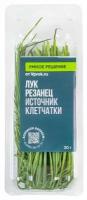 Лук резанец Умное Решение от Vprok.ru 30г упаковка