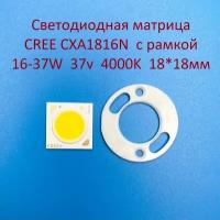 Светодиодная матрица Cree CXA1816N 16-37W 37v 450-1000mA Белая нейтральная 4000K 18*18мм с рамкой