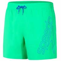 Шорты для активного отдыха (шорты для плавания) мужские Speedo Boom Logo Shorts