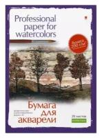 Бумага для акварели Альт, А4 (210 х 297 мм), 20 листов, профессиональная серия, Арт. 4-021