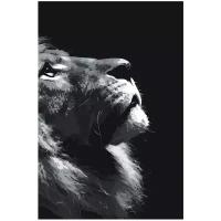 Задумчивый лев Раскраска картина по номерам на холсте