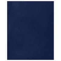 Тетрадь на скрепке Бумвинил, А5, 96 листов, клетка, синяя обложка