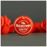 Вазелин косметический для губ Увлажнение и защита со вкусом клубники, 10 г