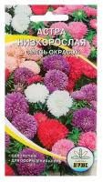 Семена цветов Астра, смесь,низкорослая, 0,2-0,25 г