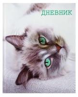 Дневник для 5-11 класса "Кошка", твёрдая обложка, глянцевая ламинация, 48 листов