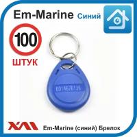 Ключ для домофона Em-marine 4100 (100 шт) не перезаписываемый. Брелок с кодом (идентификатор). Частота 125 КГц. Вносится в контроллер домофона