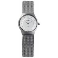 Наручные часы SKAGEN 233XSSS1