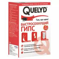 QUELYD Быстросохнущий гипс 1 кг